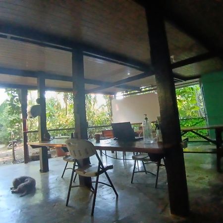 Nativos Corcovado Cabins Drakes Bay Екстериор снимка